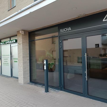 Green Sea Gdansk - Free Private Parking מראה חיצוני תמונה